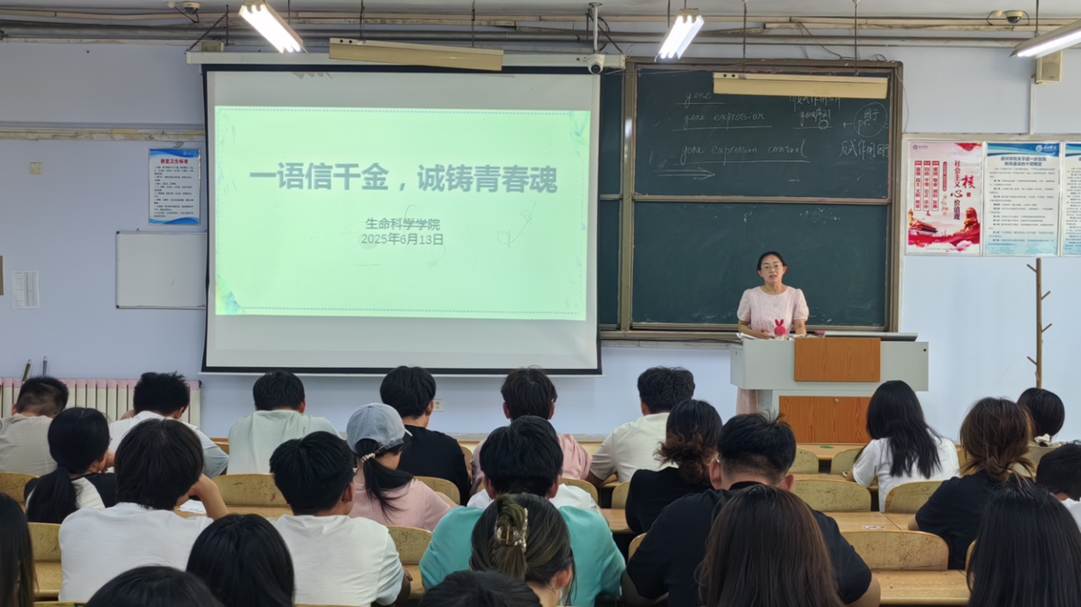图示, 示意图 中度可信度描述已自动生成:ver1